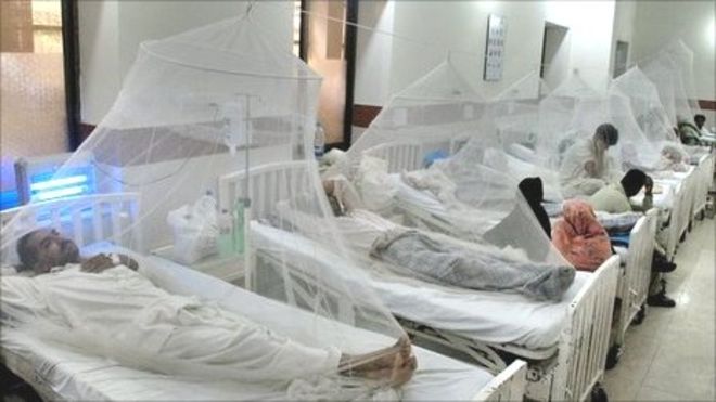 Mosquito Net for Hospital